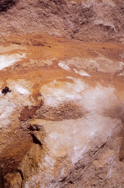 p14.jpg